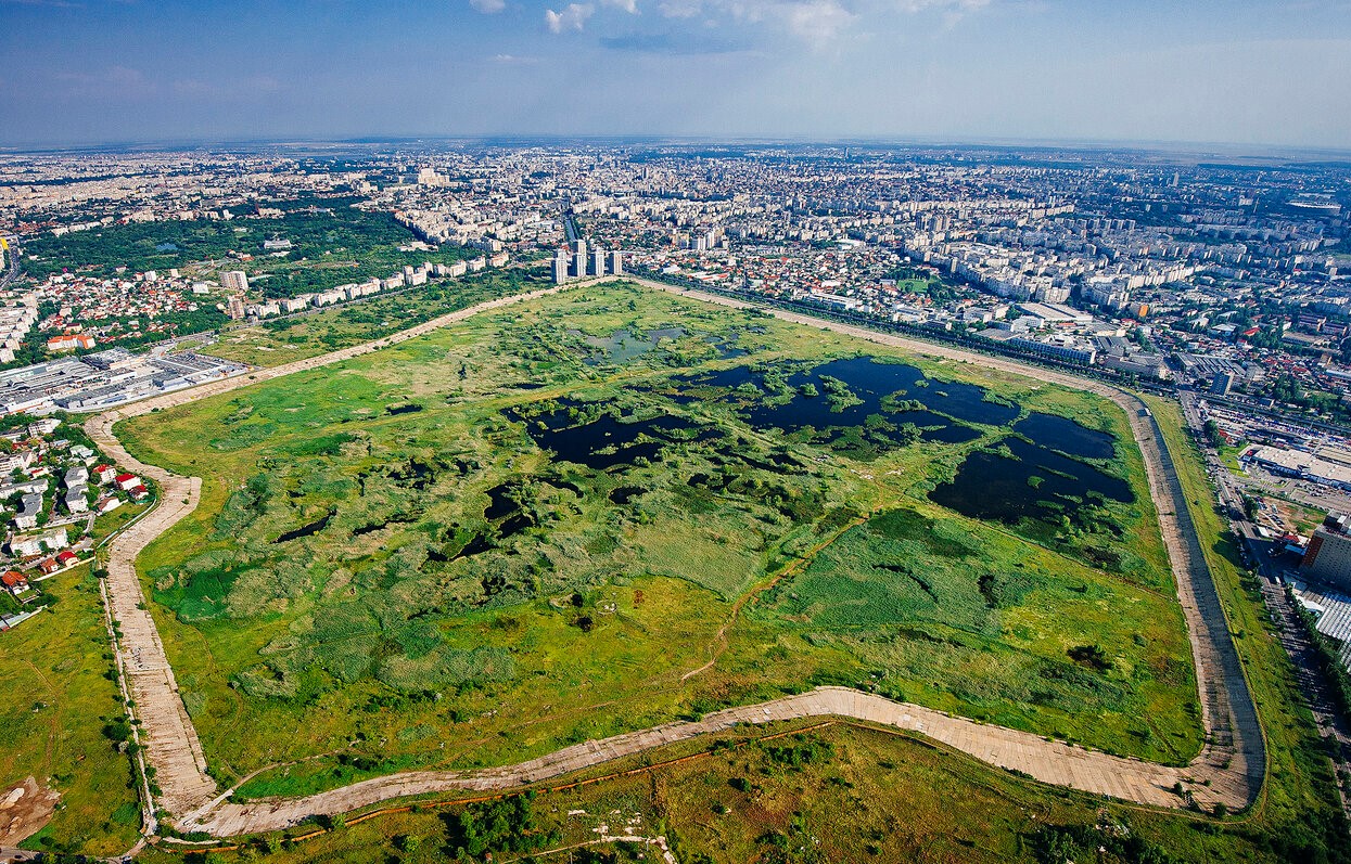 Delta din mijlocul Bucureștiului sau Delta dintre blocuri. Paradisul abandonat de care nu mulți știu. Ce se găsește aici
