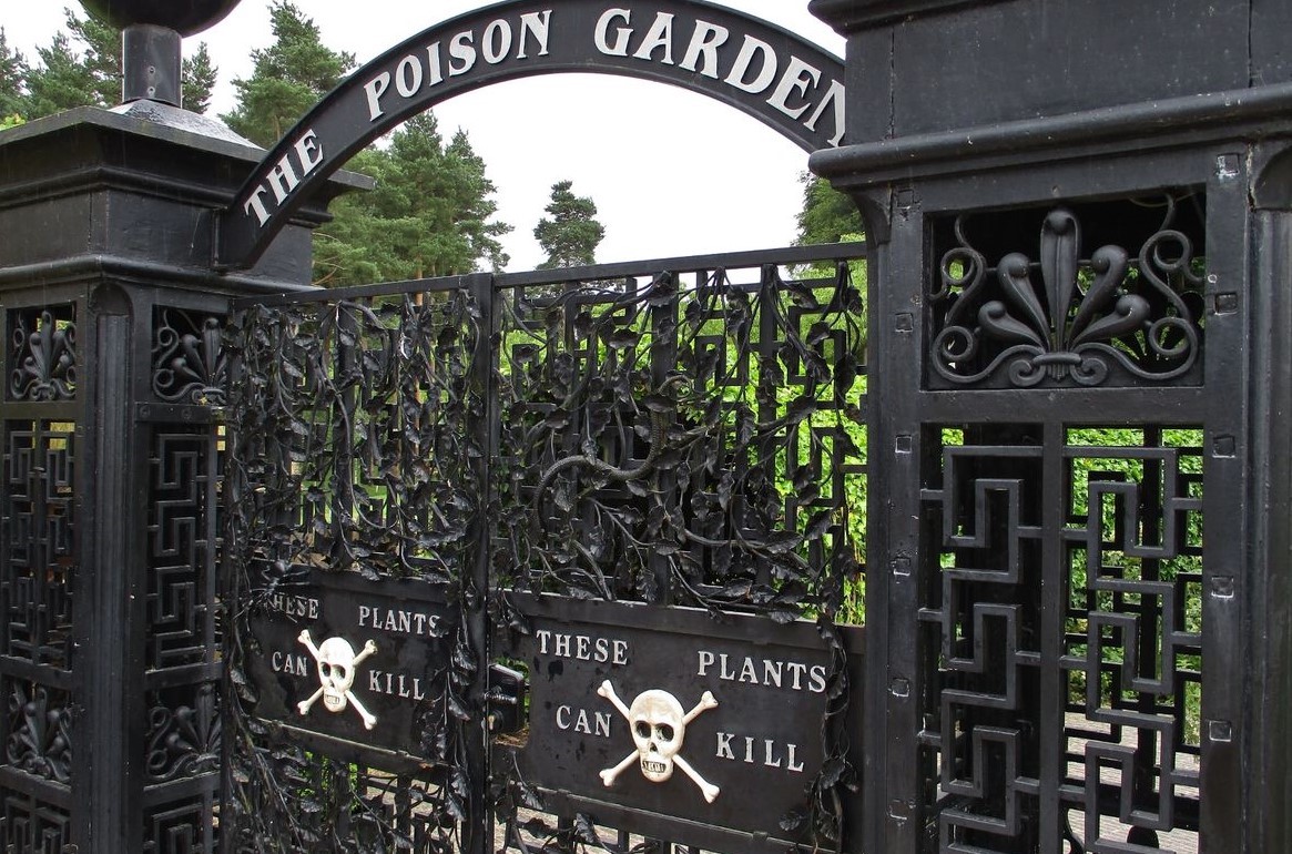 Grădina Alnwick sau Grădina Otrăvitoare. Unde se află. În acest loc plantele te pot ucide pe loc