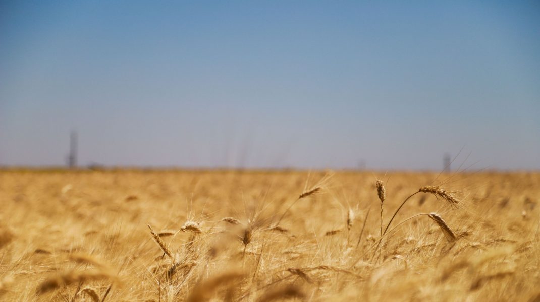 Adevăratul motiv pentru care Putin ar vrea Ucraina