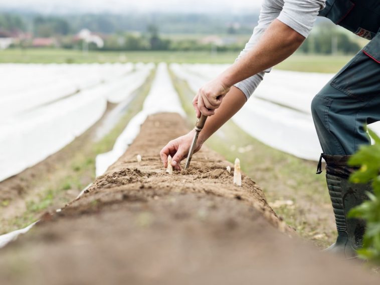 Țara din care românii trimit cei mai mulți bani acasă