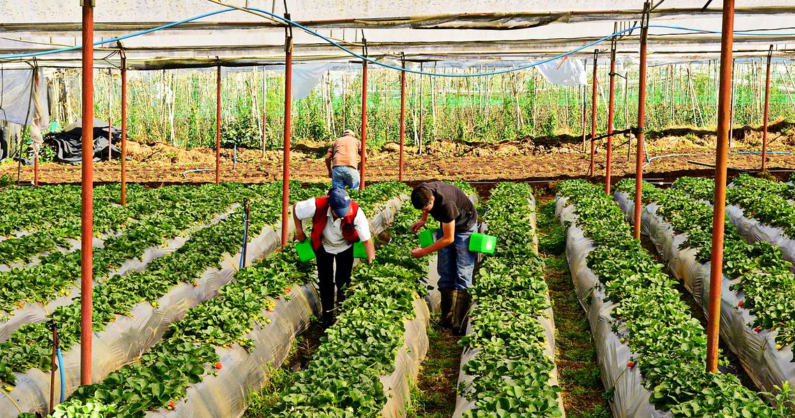 Țara din care românii trimit cei mai mulți bani acasă. În ce condiții lucrează aceștia și despre ce sume este vorba