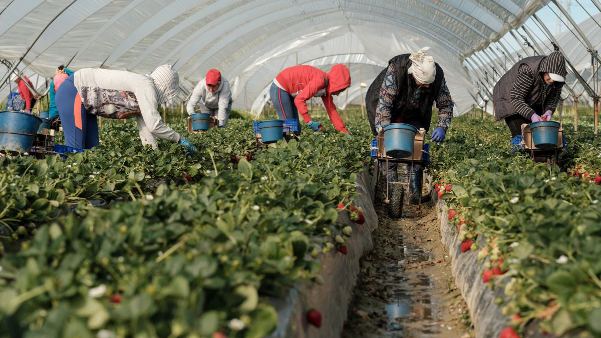 România lucrului făcut de mântuială: forță de muncă scumpă, salarii minuscule