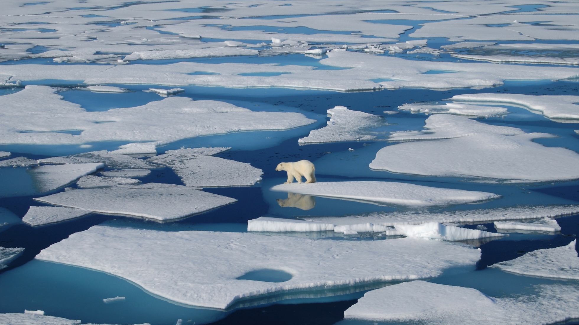 Oceanul Arctic se încălzește mai repede decât restul planetei