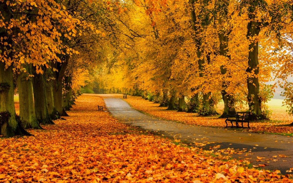 Echinocțiul de toamnă 2022. Principalele tradiții și superstiții. Când va avea loc în următorii 5 ani