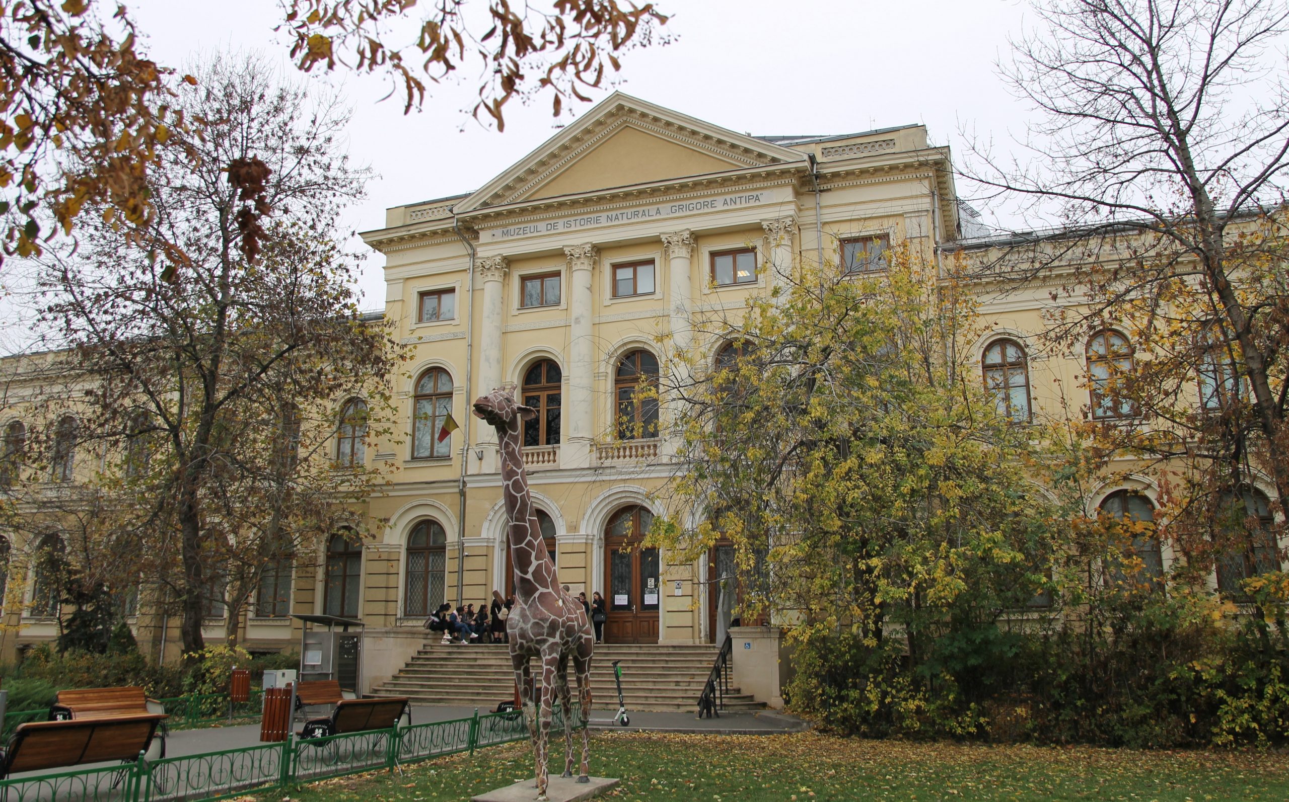 Cine a fost Grigore Antipa și cum a ajuns să-i poarte numele un muzeu. Viața și activitatea celebrului savant