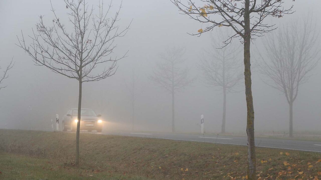 Care este pluralul lui ceață. Cum se spune corect