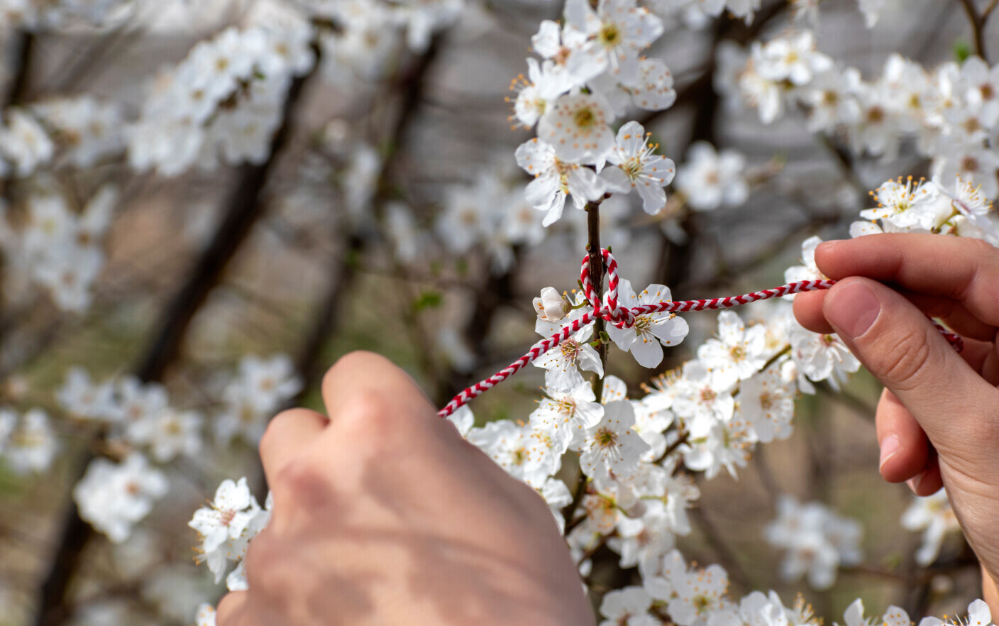Cum ne alegem Babele în Martie și care este legenda acestei tradiții. Mituri, obiceiuri și superstiții