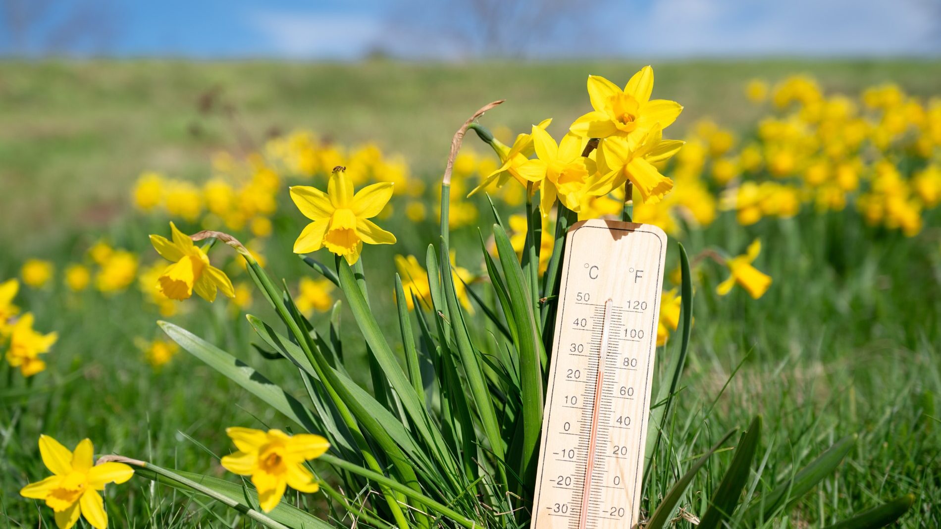 După un weekend destul de răcoos, vremea se încălzește brusc. Maximele anunțate de ANM