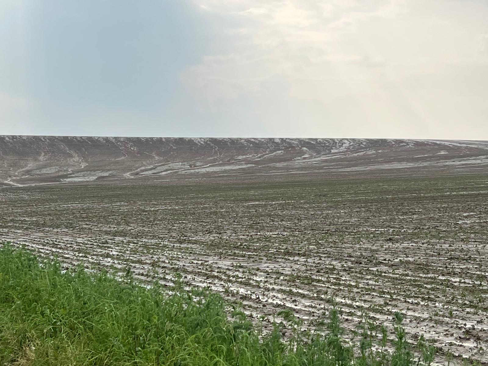 3.300 de avizări de daune pe fondul fenomenelor meteorologice extreme la nivel național în primele 6 luni