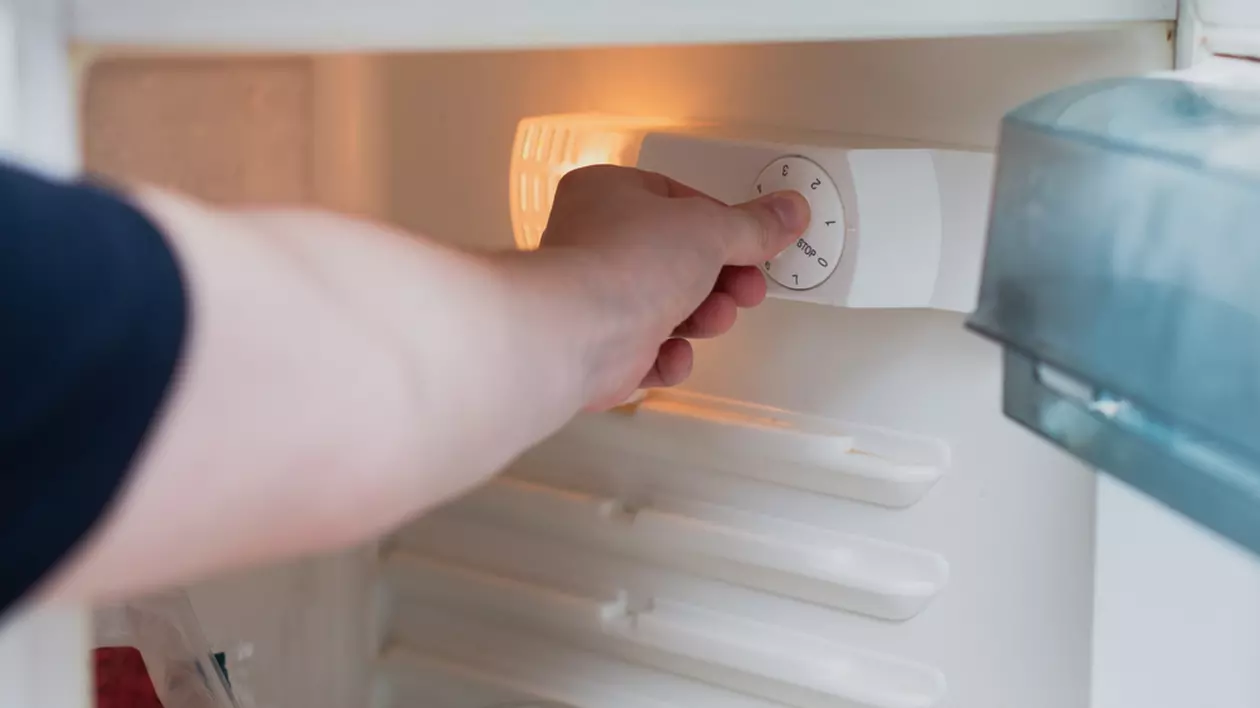 Temperatura optimă în frigider începând cu luna iunie. La cât trebuie să ţii rotița