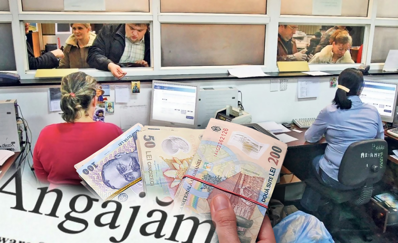 Locuri de muncă pentru românii fără studii superioare. În ce județe se găsesc cele mai multe