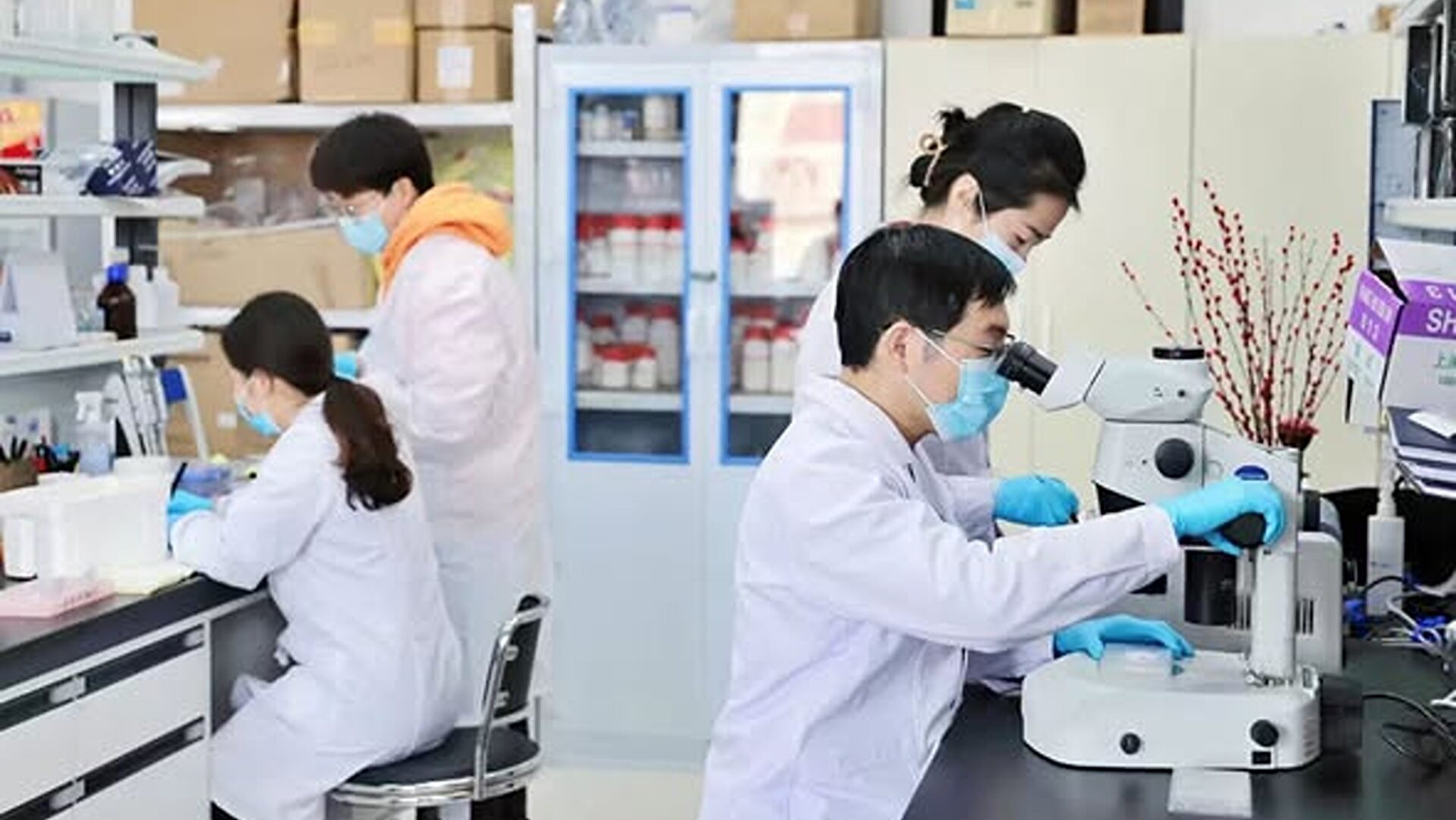 O bacterie obișnuită din corpul uman a fost modificată ca să găsească tumorile și să elibereze medicamentul anticancer direct în ele