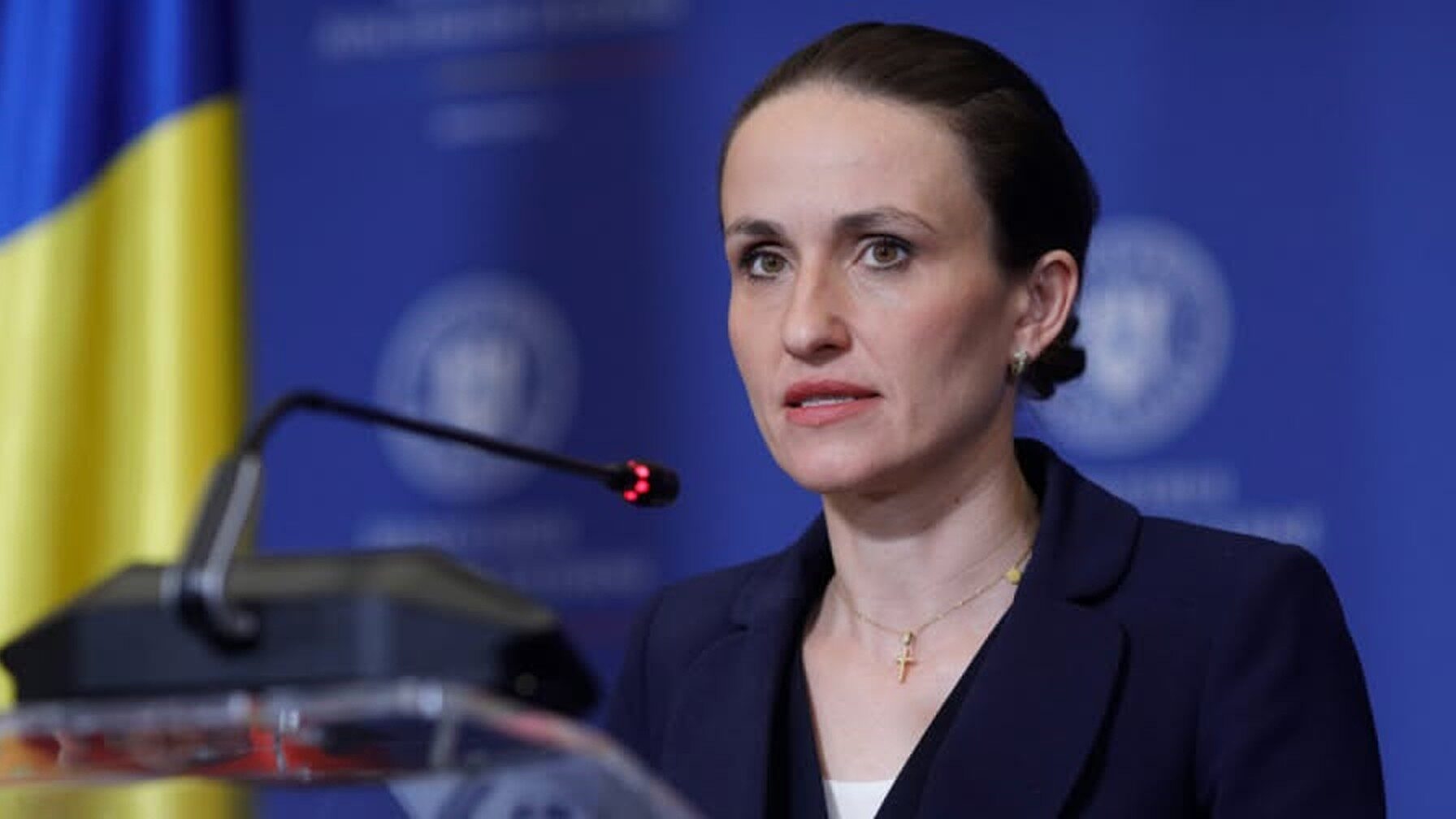 Oana Țoiu pune la îndoială afirmațiile ambasadorului rus: Nu a putut nega cu totul că drona e a lor