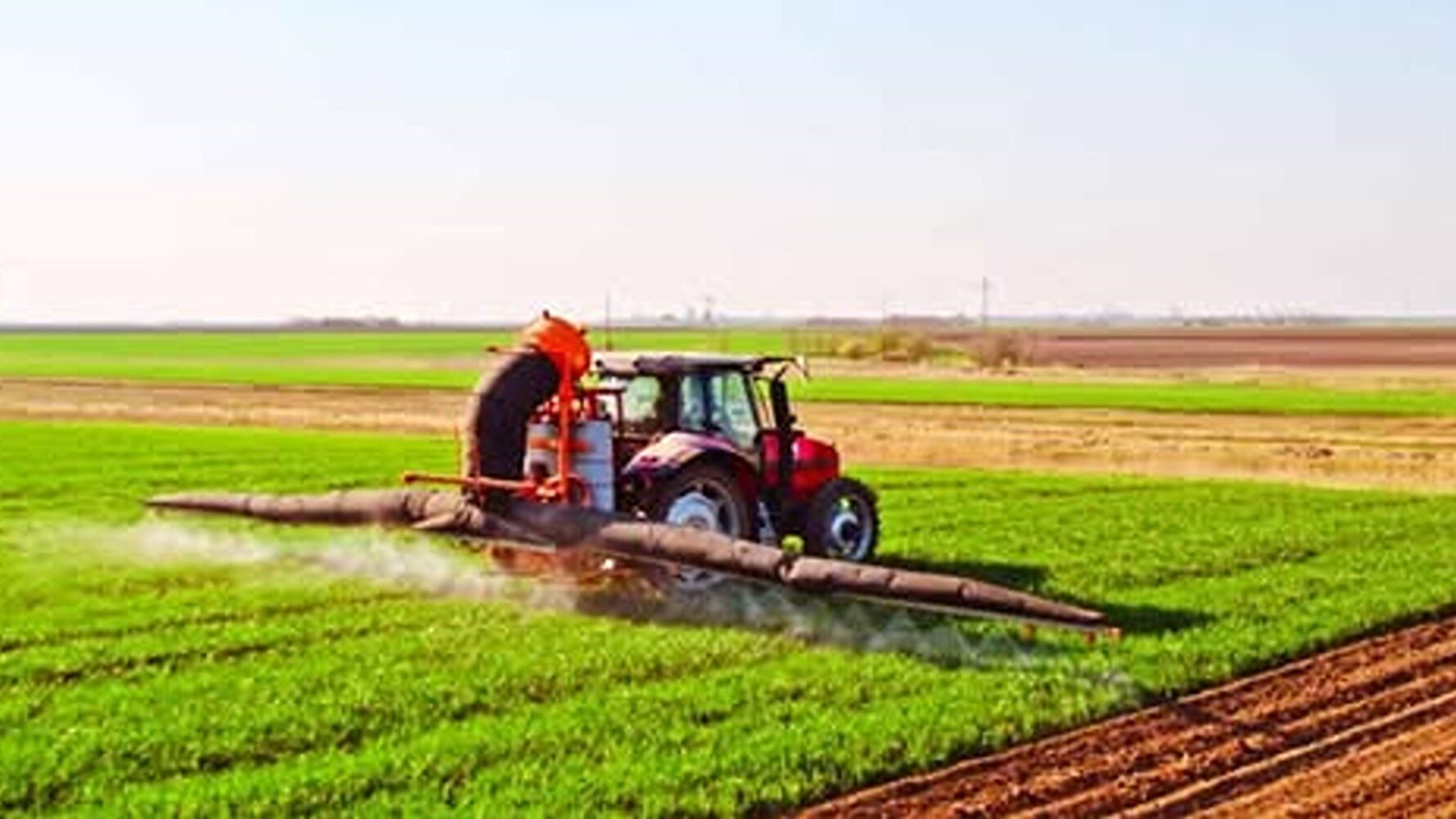 Agrometeo. Culturile au evoluție bună pe aproape toată suprafața agricolă a țării, în următoarele zile