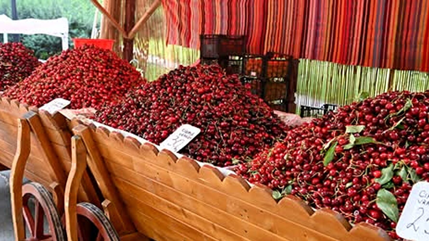 Începe Festivalul Cireșelor și al Căpșunilor, la Piața Matache. Evenimentul are loc în weekend